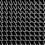Permutation