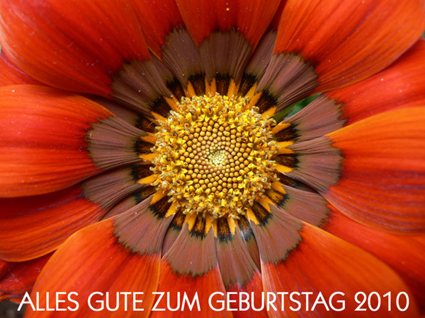 Geburtstag(i)