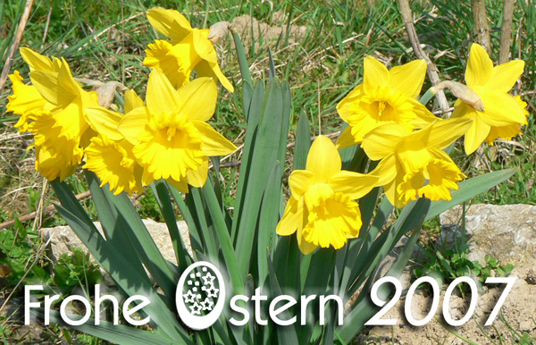 Ostern(i)
