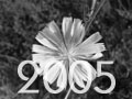 Auswahl 2005(tn)