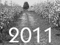 Auswahl 2011(tn)