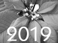 Auswahl 2019(tn)