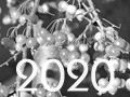 Auswahl 2020(tn)